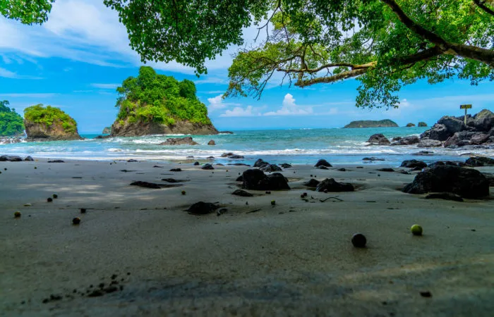 Gallery 28