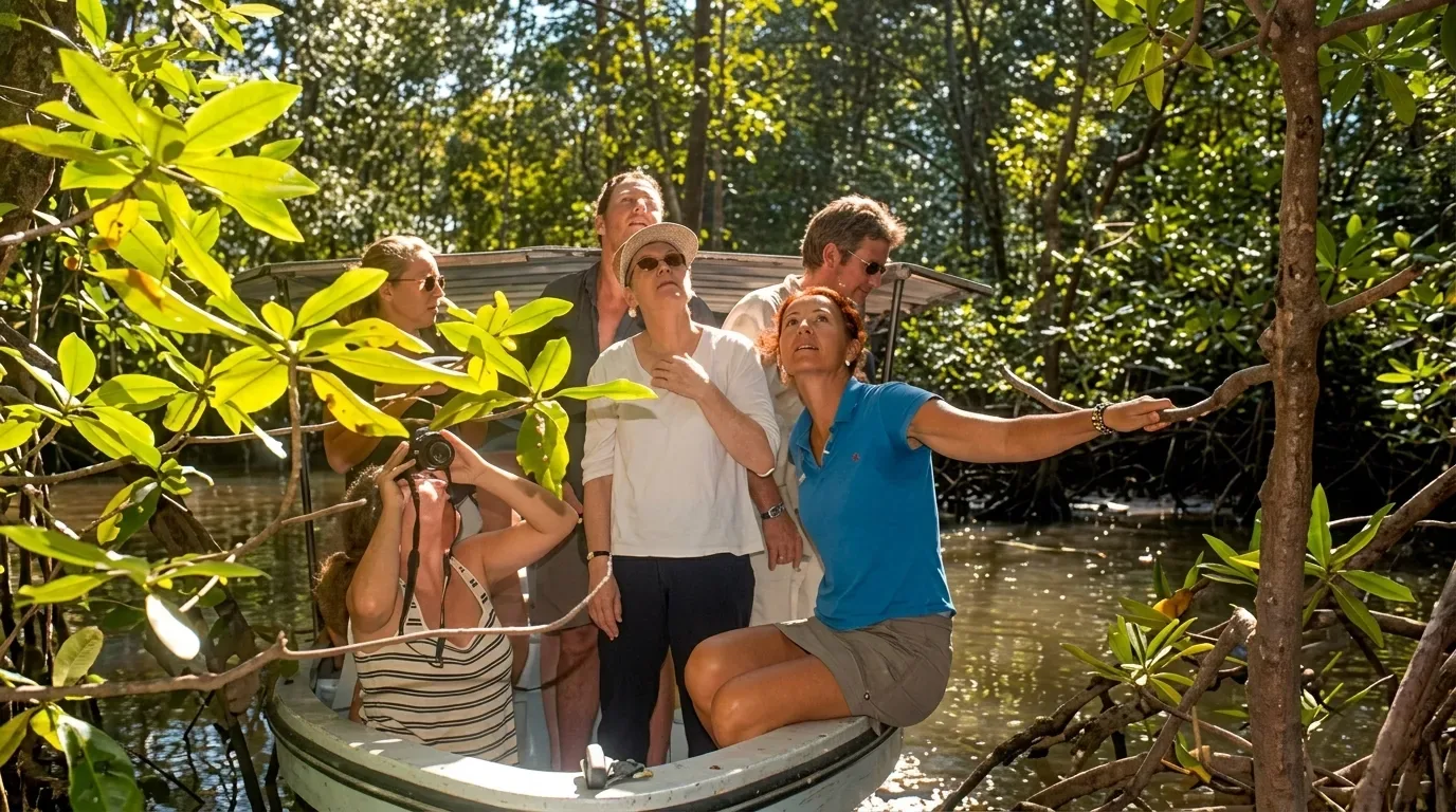 Mangrove Tour
