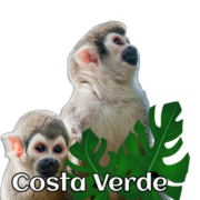 (c) Costaverde.com